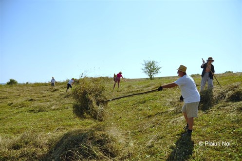 Mowing activity